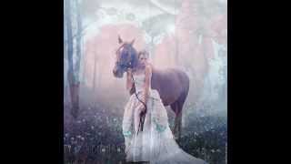 Do Not Forsake Me Oh My Darlin by Duane Eddy