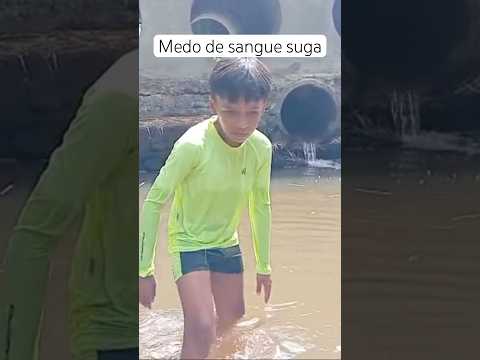 Água limpa #vidasimples#vidanaroça #vidanocampo #banhoderio #ceará #pacoti #palmácia