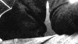 Droit dans le soleil - Son style 2 (Cover Detroit - Bertrand Cantat)