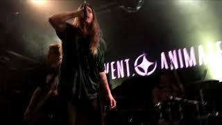 INVENT, ANIMATE - Naturehold Ft. Jesse Cash ( live @Flex, Vienna 2017.12.10)