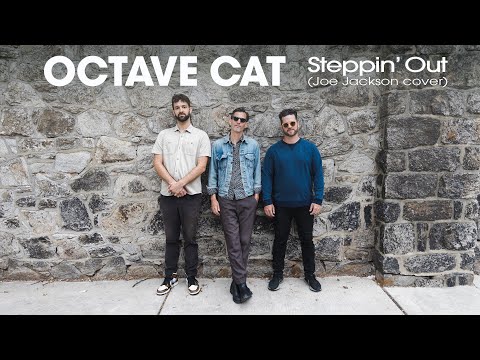 Octave Cat - Steppin' Out (Joe Jackson cover) - Live in studio