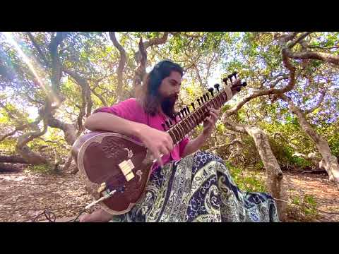 Los Osos - Live Sitar by Evan Hatfield