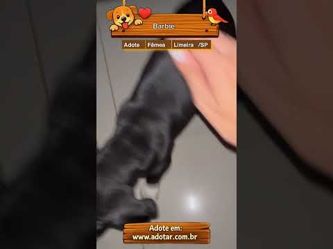 Vídeo de Barbie