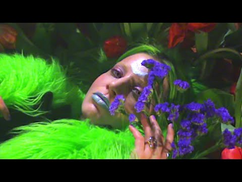 Camp Claude - Getting Closer (Official Video)