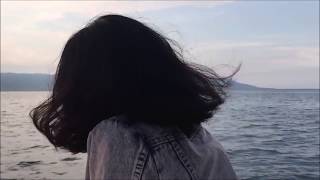 Robert Wyatt - Alifib