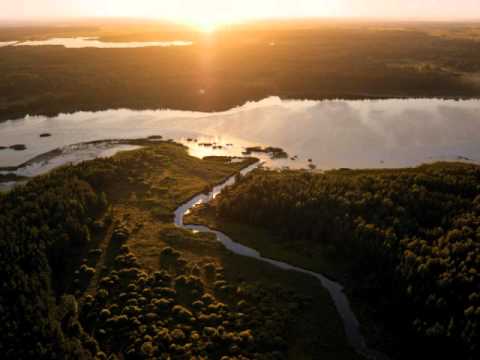 Veronika Povilionienė_ Leliumoj