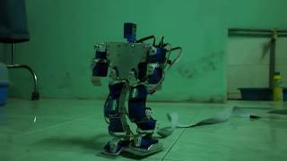 preview picture of video 'Humanoid Robot (Robot Dang Nguoi)'