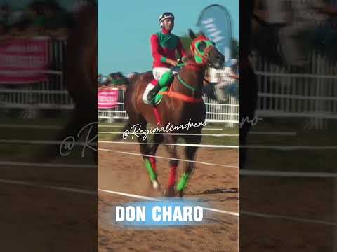 Domingo 17 de Mayo- Hipico Sargento Cabral,  Saladas Ctes...