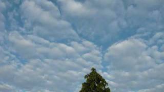 Marianne Faithfull - Strange Weather