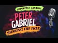 Peter Gabriel Karaoke Shaking The Tree