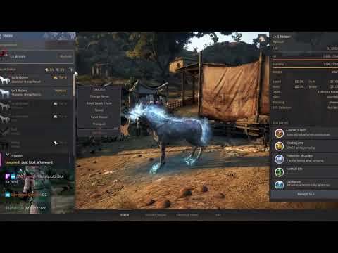 BDO T10 Dine attempts, the success attempt no 14