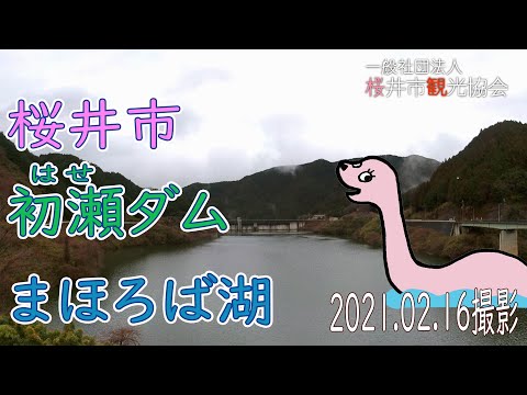 【桜井遊覧】幻想的なまほろば湖!!