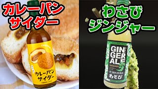 【SA土産】カレーパンサイダーとわさびジンジャーエールを買ってみた！【足柄SA】