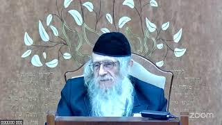 הגה"ח הרב מענדל וועכטר שליט"א - ט"ז שבט תשפ"ו - ענייני השובבי"ם חלק ב (הרב אברהם מנחם מענדל וכטר) - התמונה מוצגת ישירות מתוך אתר האינטרנט יוטיוב. זכויות היוצרים בתמונה שייכות ליוצרה. קישור קרדיט למקור התוכן נמצא בתוך דף הסרטון