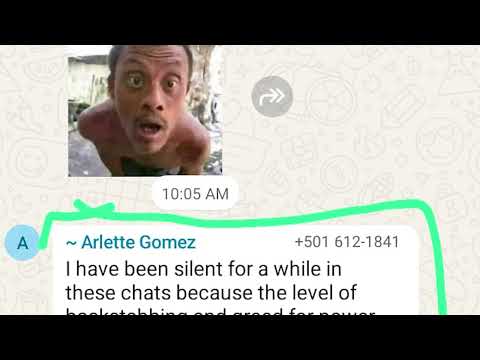 Leaked UDP Group Chat Exposes Ongoing Internal Tensions