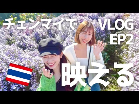 [Chiang Mai, Tailândia] Mercado noturno super escondido e até um jardim de flores espetacular! Embora as coisas não tenham corrido como planejado devido ao coronavírus, aproveite a diversão de viajar para a Tailândia que você não pode experimentar em Bangkok. Chiangmai EP2 เชียงใหม่