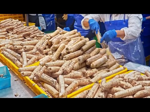 Amazing Egg Falls！ Taiwanese Mass Production Process in Food Factory  /巨量奇觀！Top ５台灣食品量產工廠 -大量魚卵,大量雞蛋