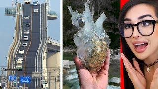 Amazing Things You Have NEVER Seen Before