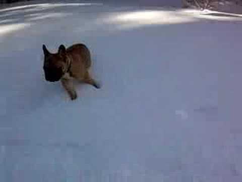 Miniature de la vidéo