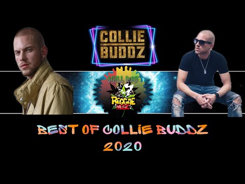 BEST OF COLLIE BUDDZ mix