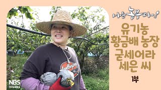 [나는농부다 271회 1부] 유기농 황금배 농장 굳세어라 세은 씨