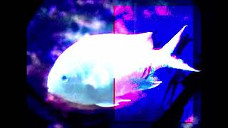 Hovvdy – “Hide”