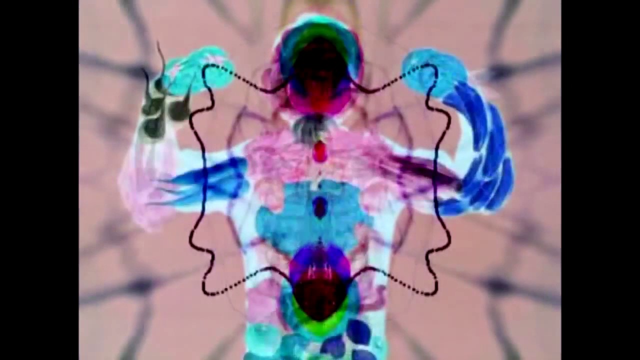 Promotional video thumbnail 2 for Nowhereland
