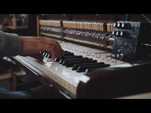 Ms. Delayette (Tefi Vintage Lab Analog Tape - Voiced Echo)