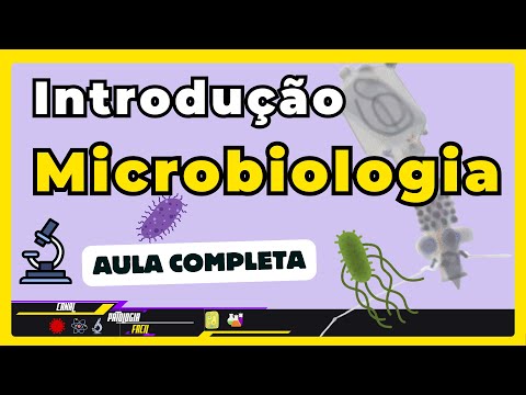 INTRODUCTION TO MICROBIOLOGY [ Updated 2024 ]
