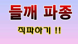 [텃밭농부.658]  들깨씨앗 직파. #들깨재배. #들깨 잘키우는 방법. #들깨직파 #들깨 이렇게 심는다