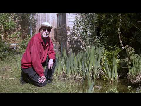 Nature Garden Live 2020 - 1