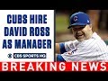 Breaking News: Chicago Cubs hire former player DAVID ROSS as team's manager | CBS Sports HQ