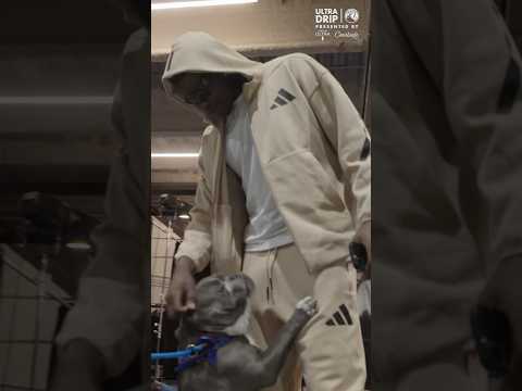 ANT JR. IN THE HOUSE 🚨🐶