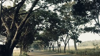 Download lagu Story WA cinematic 30 detik Keindahan alam di pagi hari mp3