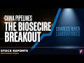 Why The US Biotech Ban Is Reshaping CRL Stock