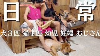 アラフィフVLOG｜犬猫と幼児、妊婦のいる暮らし