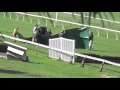 Fieldmaster Killed At Cranbourne