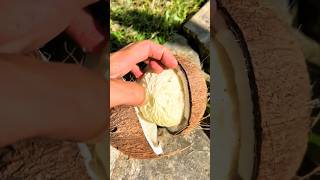 Download lagu How to choose a coconut that has pulp #coconut mp3