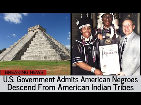 U.S. Government Admits “Negro” Was the Original American Indian