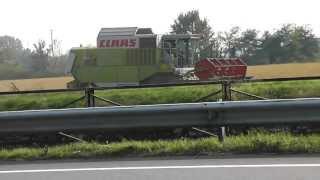 preview picture of video 'Claas Commandor mietitura riso / rice harvest 06/10/2012'