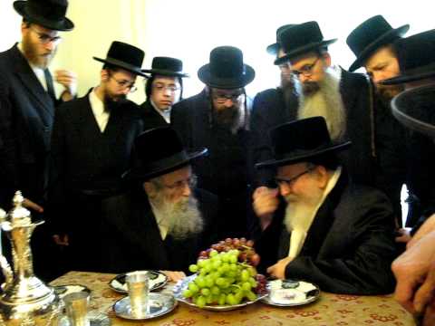 Skvara Rebbe Visits Yerushalayim'er rav