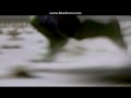 Hulk Running Scene 2003