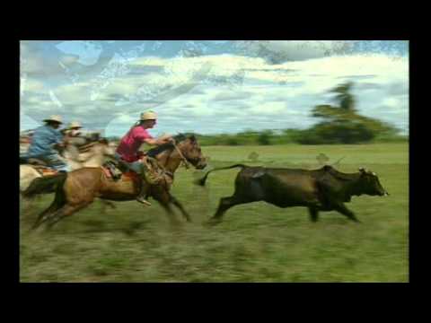 Dumar Aljure - Los Algarrobos