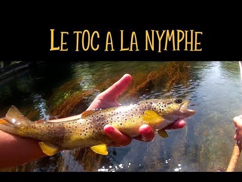 download lagu mp3 mp4 Peche Nymphe Au Toc, download lagu Peche Nymphe Au Toc gratis, unduh video klip Peche Nymphe Au Toc