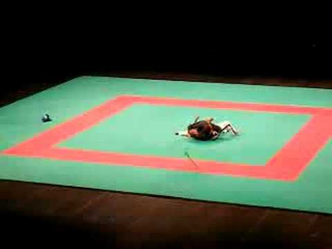 Sword fight (Martial Arts Day 2007-12-01)