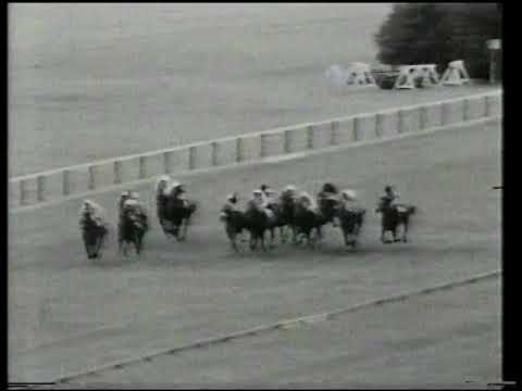 1981 William Hill Middle Park Stakes