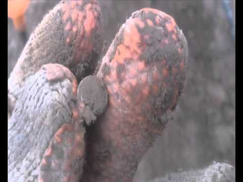 Moje Wykopki Odc. 154 (SE02 E54)