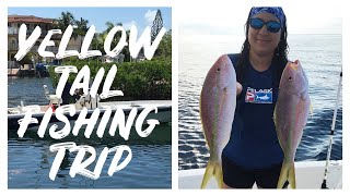 How to CATCH Yellowtail in MIAMI | Catch Clean Cook
