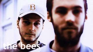 The Bees - Sunshine Hit Me