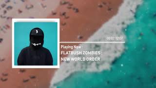 FLATBUSH ZOMBiES - New World Order